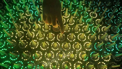 Quantum Garden featured image
