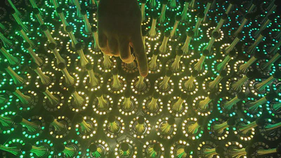 Quantum Garden featured image