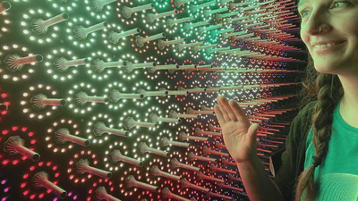 Quantum Jungle featured image