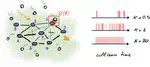 Stochastic collision model approach to transport phenomena in quantum networks