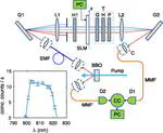 All-optical quantum simulator of qubit noisy channels