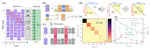 Dynamical simulations of many-body quantum chaos on a quantum computer
